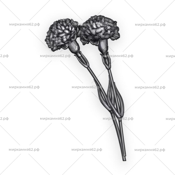 2 гвоздики А